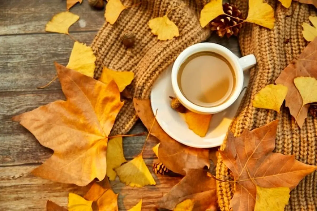 متن زیبا و ادبی در مورد پاییز