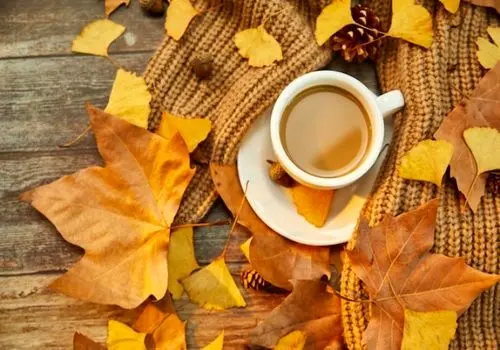 طریقه استفاده از گل و گیاه در زیباسازی دکور آشپزخانه
