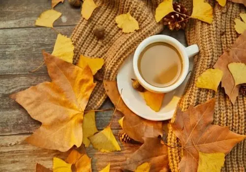 طریقه استفاده از گل و گیاه در زیباسازی دکور آشپزخانه
