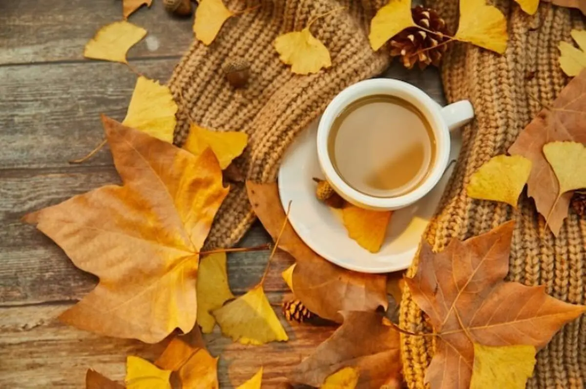 متن زیبا و ادبی در مورد پاییز