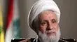 شیخ نعیم قاسم به اخبار خلع سلاح حزب الله واکنش نشان داد