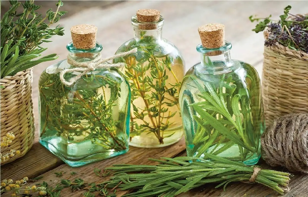 این نوع عرق گیاهی معجزه ای برای سلامتی شماست
