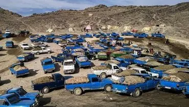 ناگفته‌های بزرگ‌ترین باند قاچاق سوخت