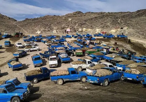 احکام و اسامی محکومان پرونده‌های قاچاق سوخت منتشر شد