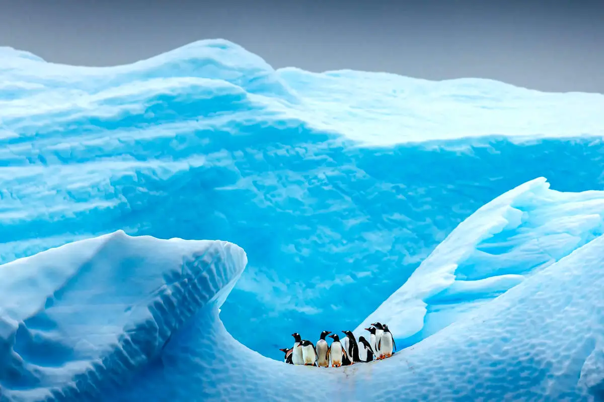 اگر یخ‌ها بروند، جنوبگان چه می‌ماند؟ / جنوبگان پس از ذوب یخ‌ها چه شکلی خواهد بود؟ + عکس