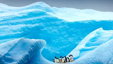 اگر یخ‌ها بروند، جنوبگان چه می‌ماند؟ / جنوبگان پس از ذوب یخ‌ها چه شکلی خواهد بود؟ + عکس