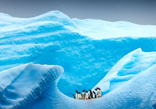 اگر یخ‌ها بروند، جنوبگان چه می‌ماند؟ / جنوبگان پس از ذوب یخ‌ها چه شکلی خواهد بود؟ + عکس