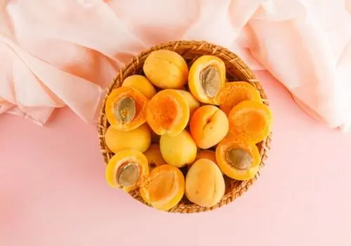 روزه داری مادران باردار از چندماهگی مجاز است؟