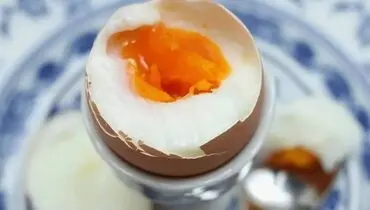 با خوردن هر روز تخم‌مرغ، بدن شما چه واکنشی نشان می‌دهد؟