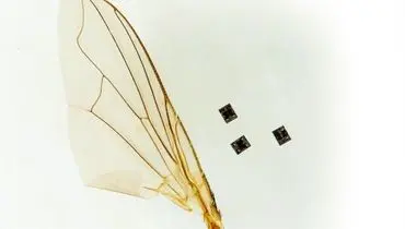 انقلاب میکروسکوپی؛ نخستین رباتی که می‌اندیشد و عمل می‌کند