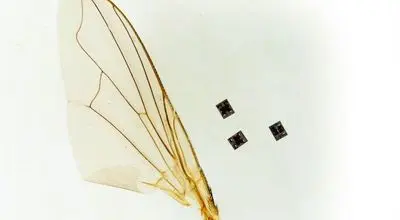 انقلاب میکروسکوپی؛ نخستین رباتی که می‌اندیشد و عمل می‌کند