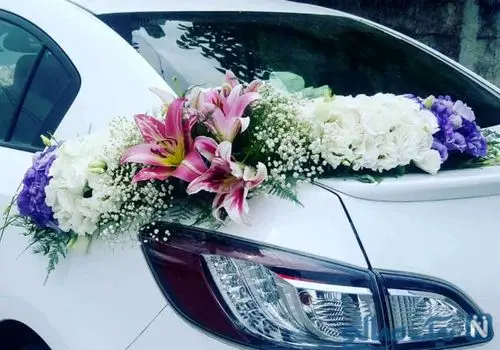 حضور یک عروس و داماد در تجمع‌های شبانه تهران