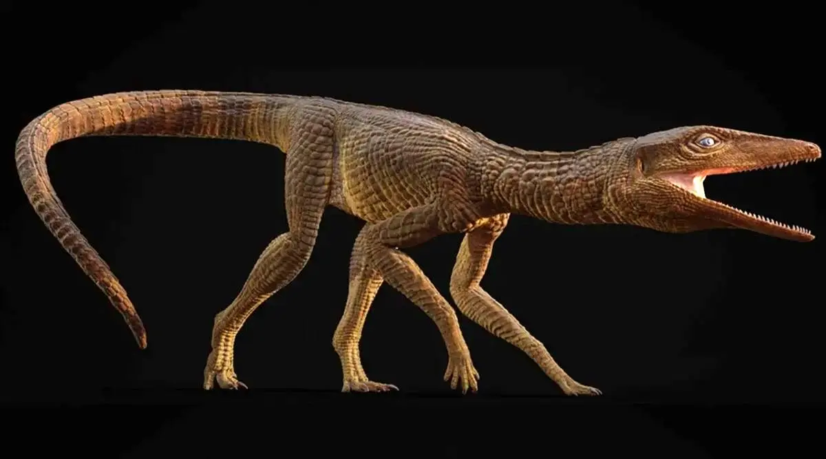 کشف گونه جدید تمساح ماقبل تاریخ که شبیه سگ شکاری بوده است
