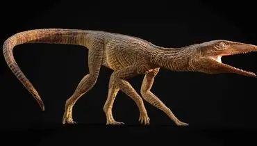 کشف گونه جدید تمساح ماقبل تاریخ که شبیه سگ شکاری بوده است
