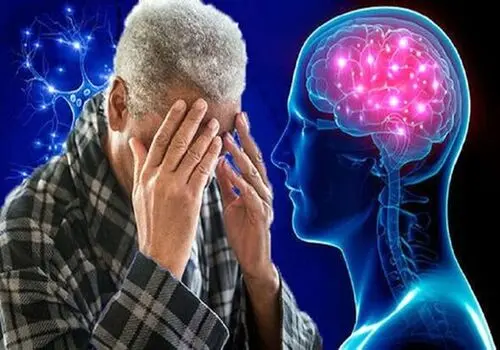 «وسوسه‌ای تمام‌عیار؛ پرتقال شکری در آغوش شکلات تلخ»+فیلم