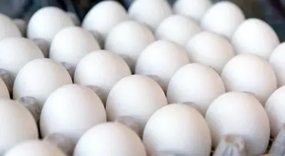 قیمت جدید تخم مرغ امروز 21 دی 