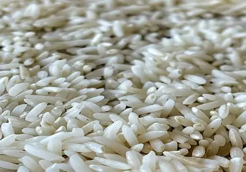 قیمت جدید انواع برنج مشخص شد/ بهترین زمان برای خرید برنج مشخص شد