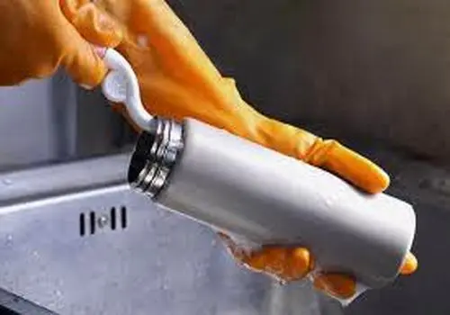 تحقیق درباره گل رز مینیاتوری
