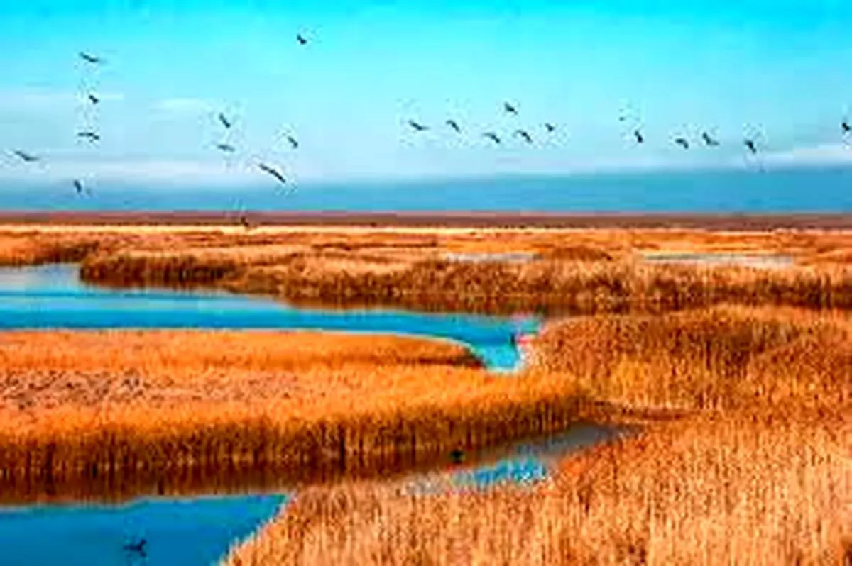 بازدید از تالاب کانی برازان مهاباد
