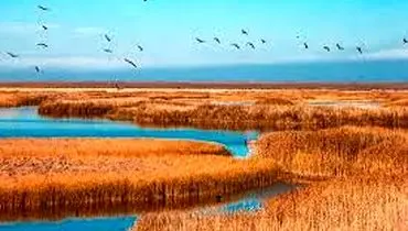 بازدید از تالاب کانی برازان مهاباد
