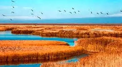 بازدید از تالاب کانی برازان مهاباد
