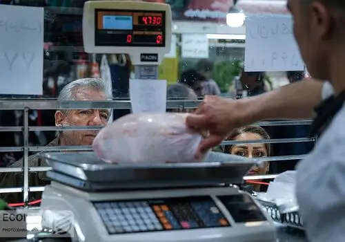 خبر تازه از کالابرگ تیر ۱۴۰۵؛ ۳ روش ساده برای استعلام موجودی اعلام شد