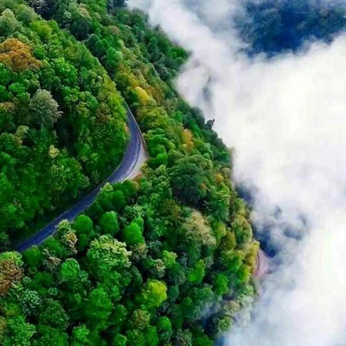 زنگ خطر برای شمال ایران صادر شد
