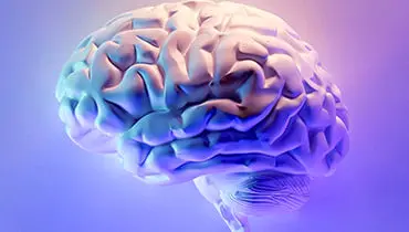 زیرنویس مغزی؛ آیا خواندن ذهن به واقعیت نزدیک شده؟