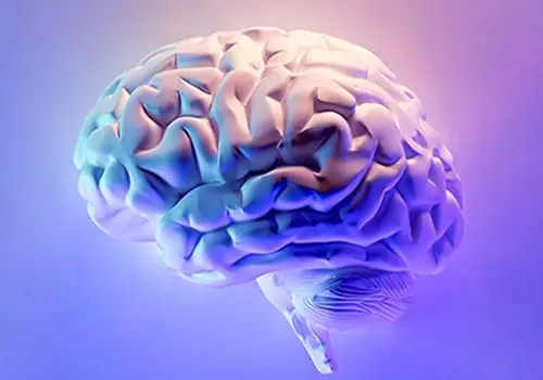 زیرنویس مغزی؛ آیا خواندن ذهن به واقعیت نزدیک شده؟