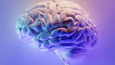 زیرنویس مغزی؛ آیا خواندن ذهن به واقعیت نزدیک شده؟