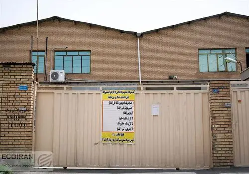 بحران اشتغال تحصیل‌کردگان؛ یک‌سوم بیکاران مدرک دانشگاهی دارند