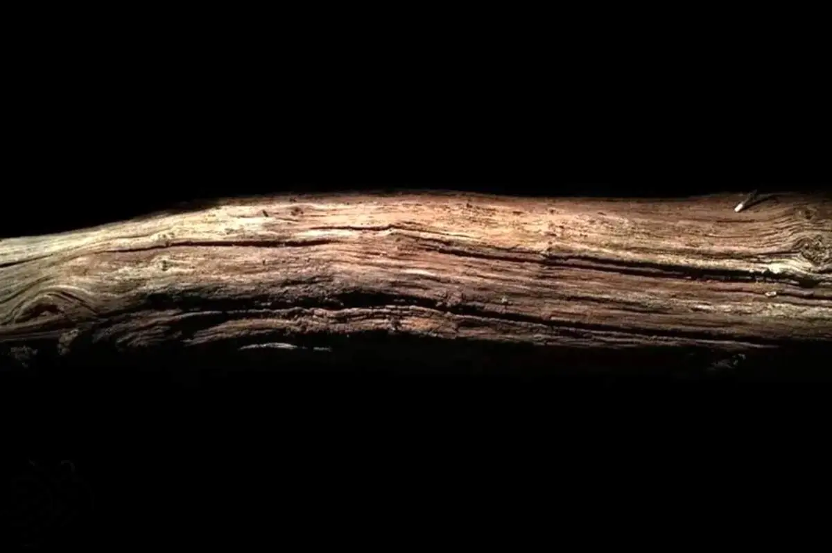 تکه چوبی که ۴۳۰ هزار سال قبل به دست انسان تراشیده شد