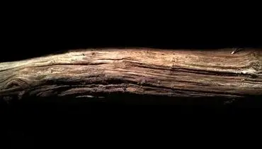 تکه چوبی که ۴۳۰ هزار سال قبل به دست انسان تراشیده شد