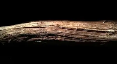 تکه چوبی که ۴۳۰ هزار سال قبل به دست انسان تراشیده شد