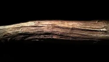 تکه چوبی که ۴۳۰ هزار سال قبل به دست انسان تراشیده شد