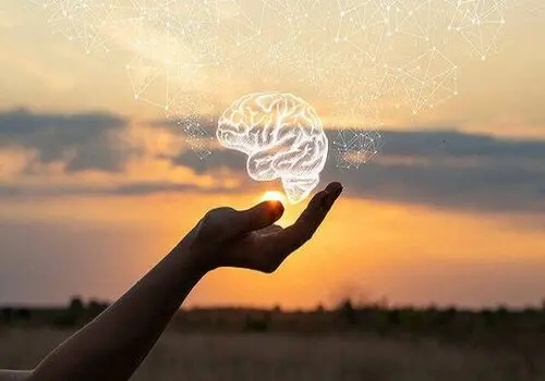 ۶ تا از بهترین مواد غذایی برای رفع خستگی