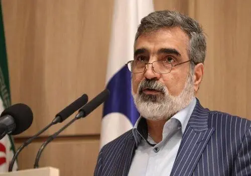 کمالوندی: برخورداری کامل از فناوری صلح‌آمیز هسته‌ای، حق ایران است
