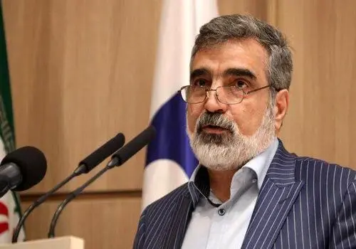 کمالوندی: برخورداری کامل از فناوری صلح‌آمیز هسته‌ای، حق ایران است
