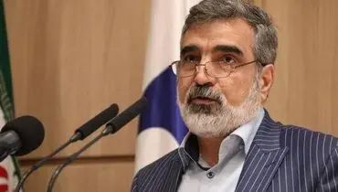 کمالوندی: حق ایران است که برنامه صلح‌آمیز هسته‌ای خود را توسعه دهد
