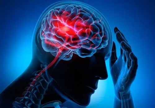 بهترین غذاها برای سلامت مغز شما بعد از 40 سالگی