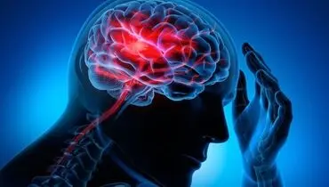 نکات طلایی برای سلامت مغز