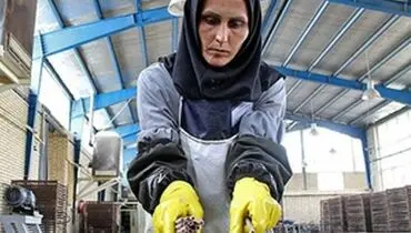 چند درصد نیروهای کار در تهران زن هستند؟