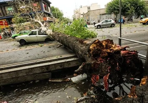 طوفان تهران فوتی برجای گذاشت