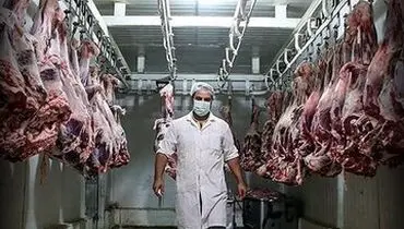 گوشت گوسفندی ۲۶۰ هزار تومان شد