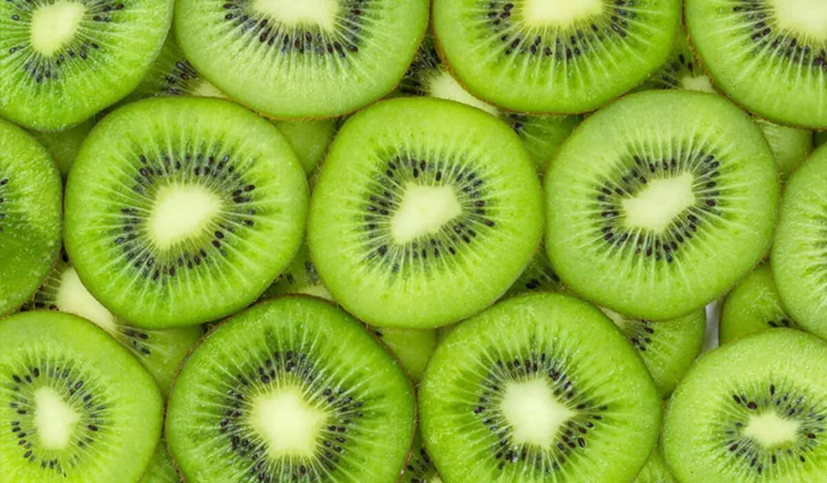 چقدر کیوی بخوریم تا یبوست‌مان خوب شود؟
