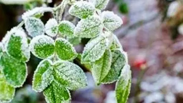 تهران در آستانه سرمای زودرس؛ یخبندان موقت در دامنه‌ها پیش‌بینی شد
