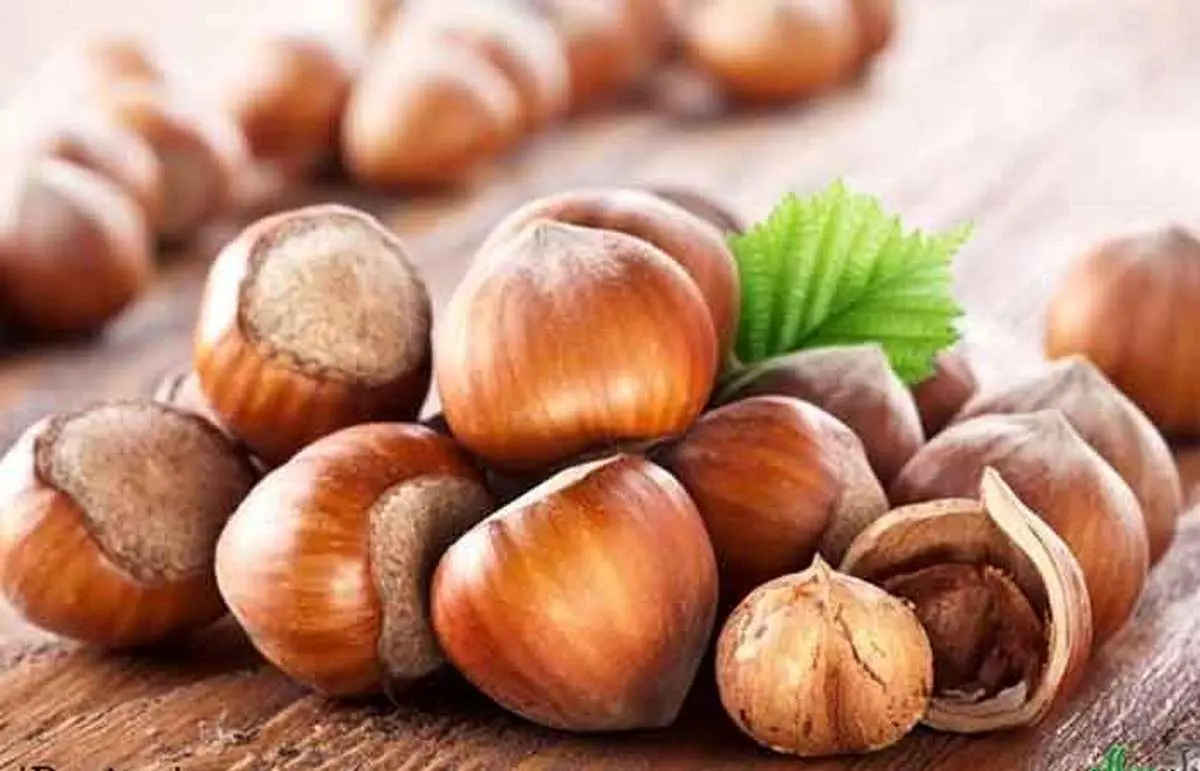 کرم فندق چند کالری دارد ؟
