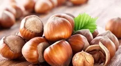 کرم فندق چند کالری دارد ؟
