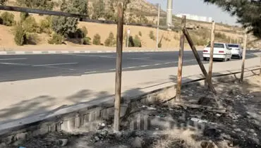 زوال خاموش؛ خشکسالی چگونه فضای سبز منطقه ۲۲ را می‌بلعد +تصاویر