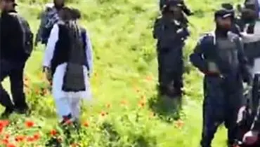 تصاویری از گشت‌وگذار اعضای طالبان در لاله‌زار/ویدیو 